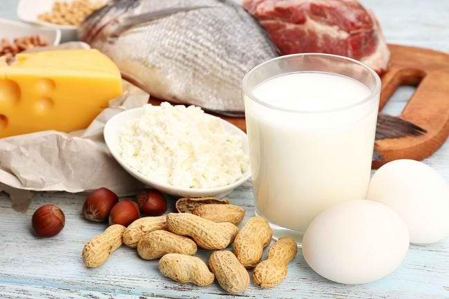 Makanan Tinggi Protein